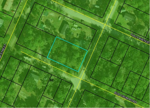 0 Bud Crum Road Panacea, FL 32346 - Photo 3 of 3