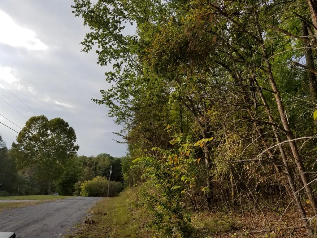 Lot 50 Key Cove Road, Unit 50 Spring City, TN 37381 - Photo 3 of 8 20171015_173813 (Medium)