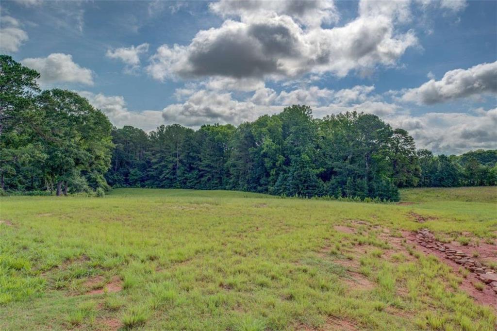 3076 East Lake Road McDonough, GA 30252 - Photo 44 of 49 a view of outdoor space and yard