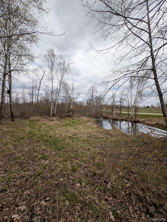 2889 Mill Station Road Hale, MI 48739 - Photo 25 of 33