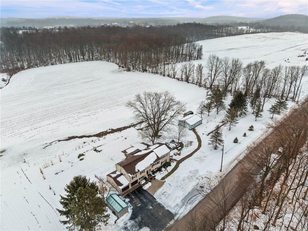 3242 Hanagan Road Palmyra, NY 14505 - Photo 48 of 50