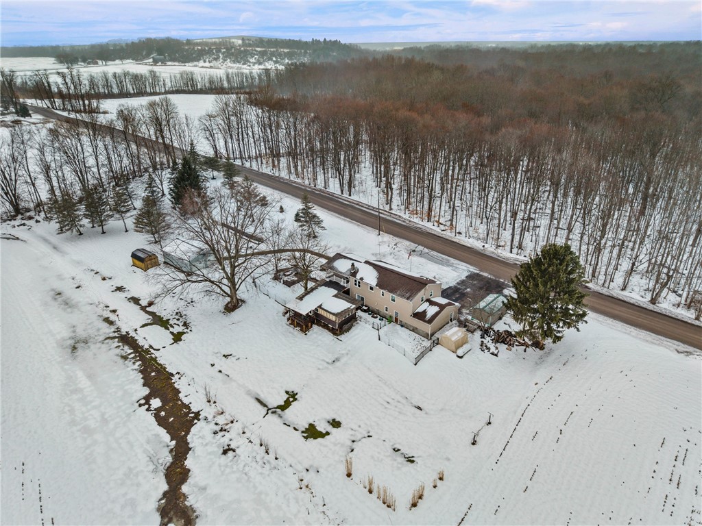 3242 Hanagan Road Palmyra, NY 14505 - Photo 49 of 50