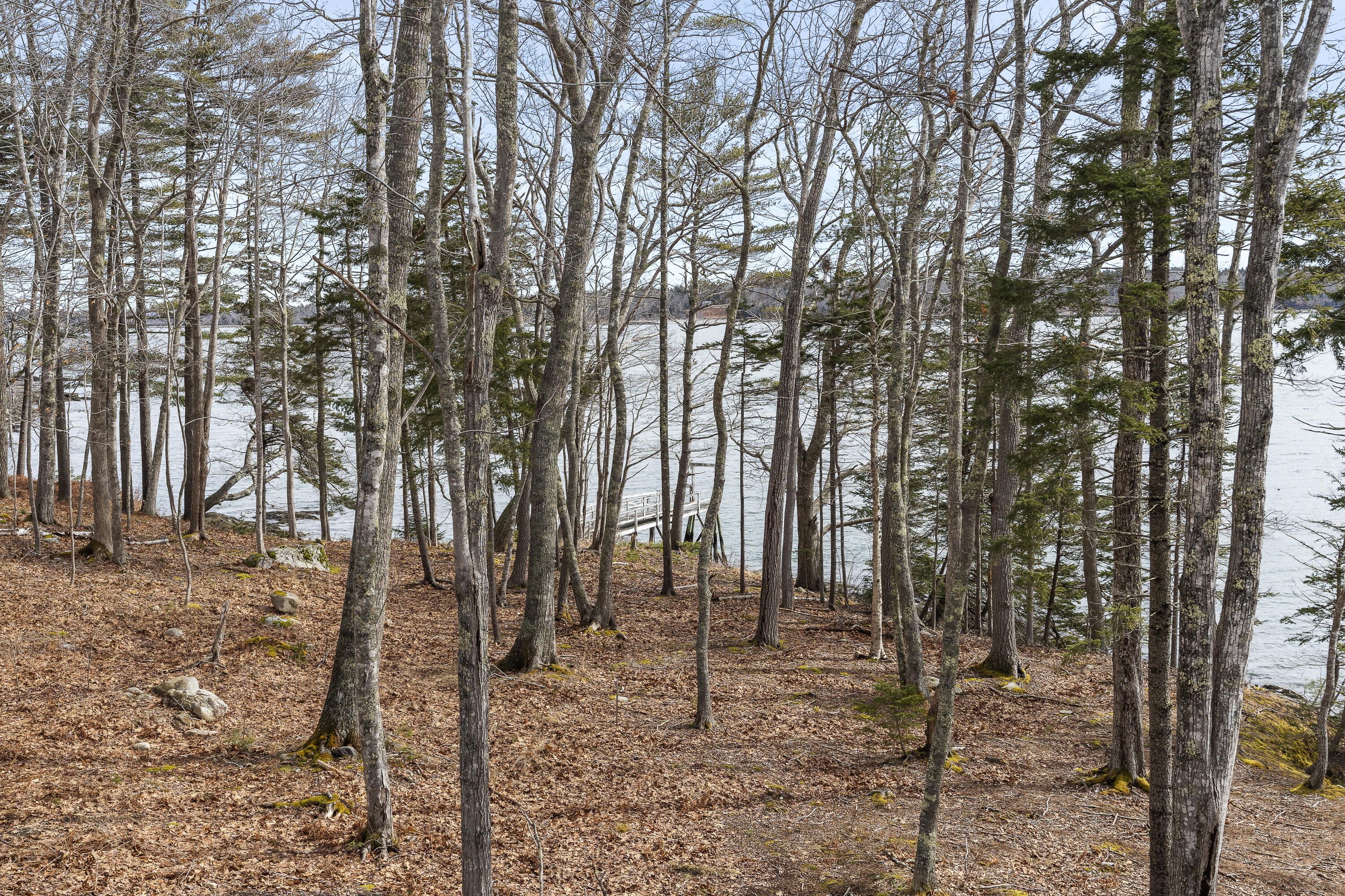 31 Viking Way Round Pond, ME 04564 - Photo 46 of 109 51-31 Viking Way, Round Pond, ME-TP