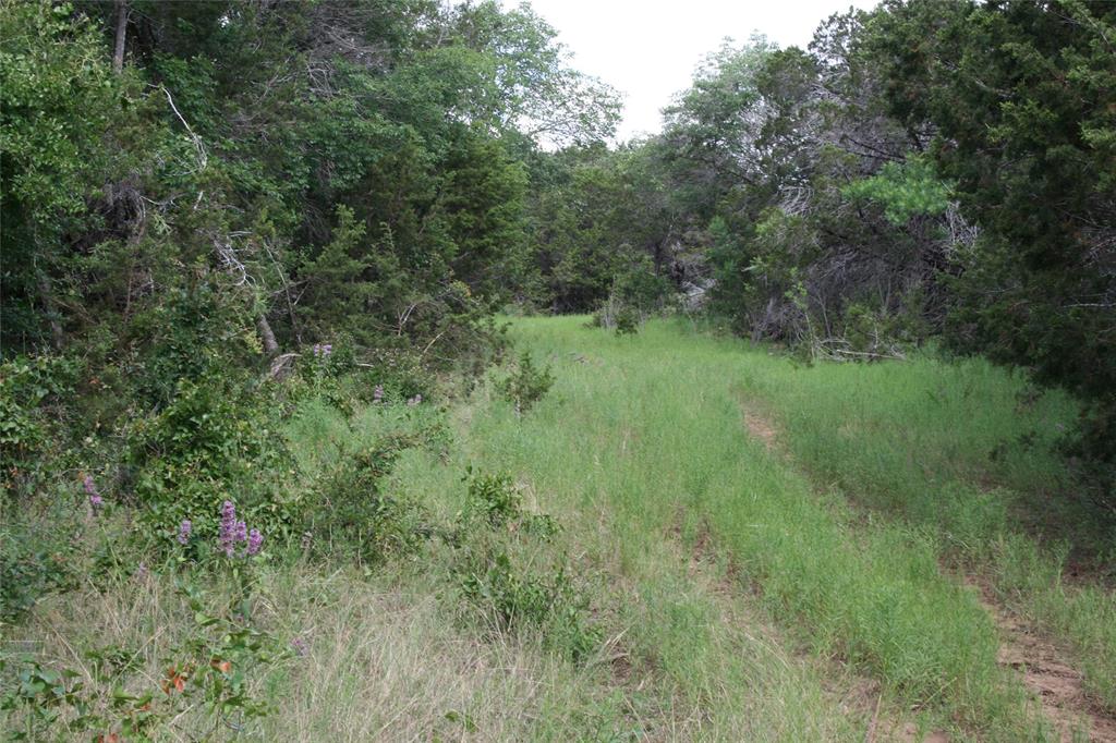 464 Upper Brad Road Strawn, TX 76475 - Photo 6 of 32 View of nature