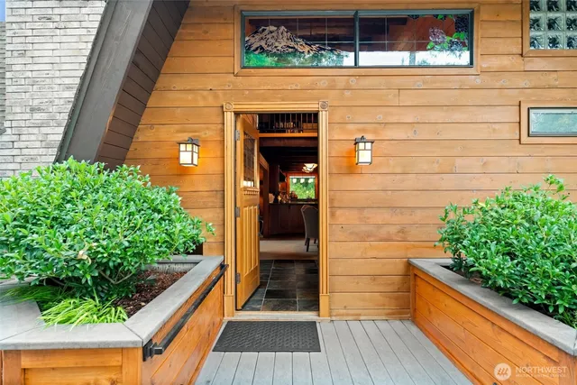 a view of backyard with a potted plant