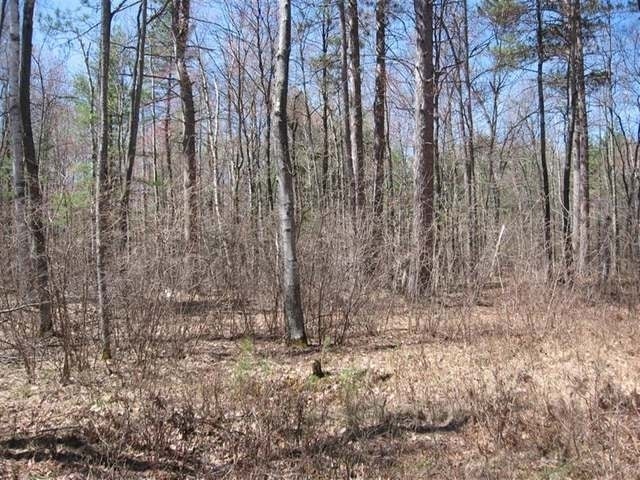 1331 Scott Road Woodruff, WI 54568 - Photo 13 of 20 Gallery Image 13
