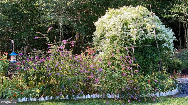 25780 Salt Grass Road Millsboro, DE 19966 - Photo 54 of 63 Gallery Image 54