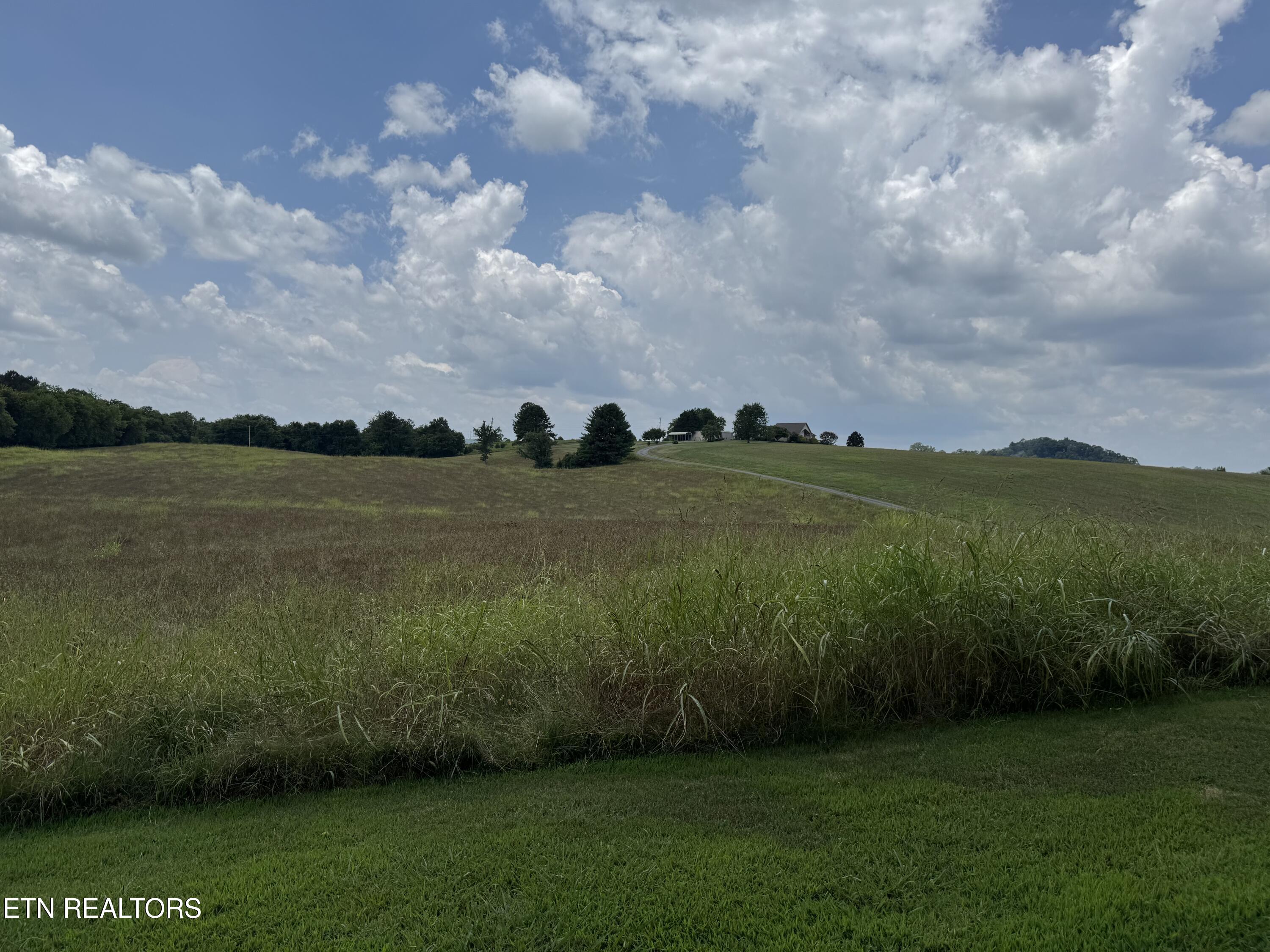 Lot 4 Bent Road Kodak, TN 37764 - Photo 14 of 19 IMG_3560