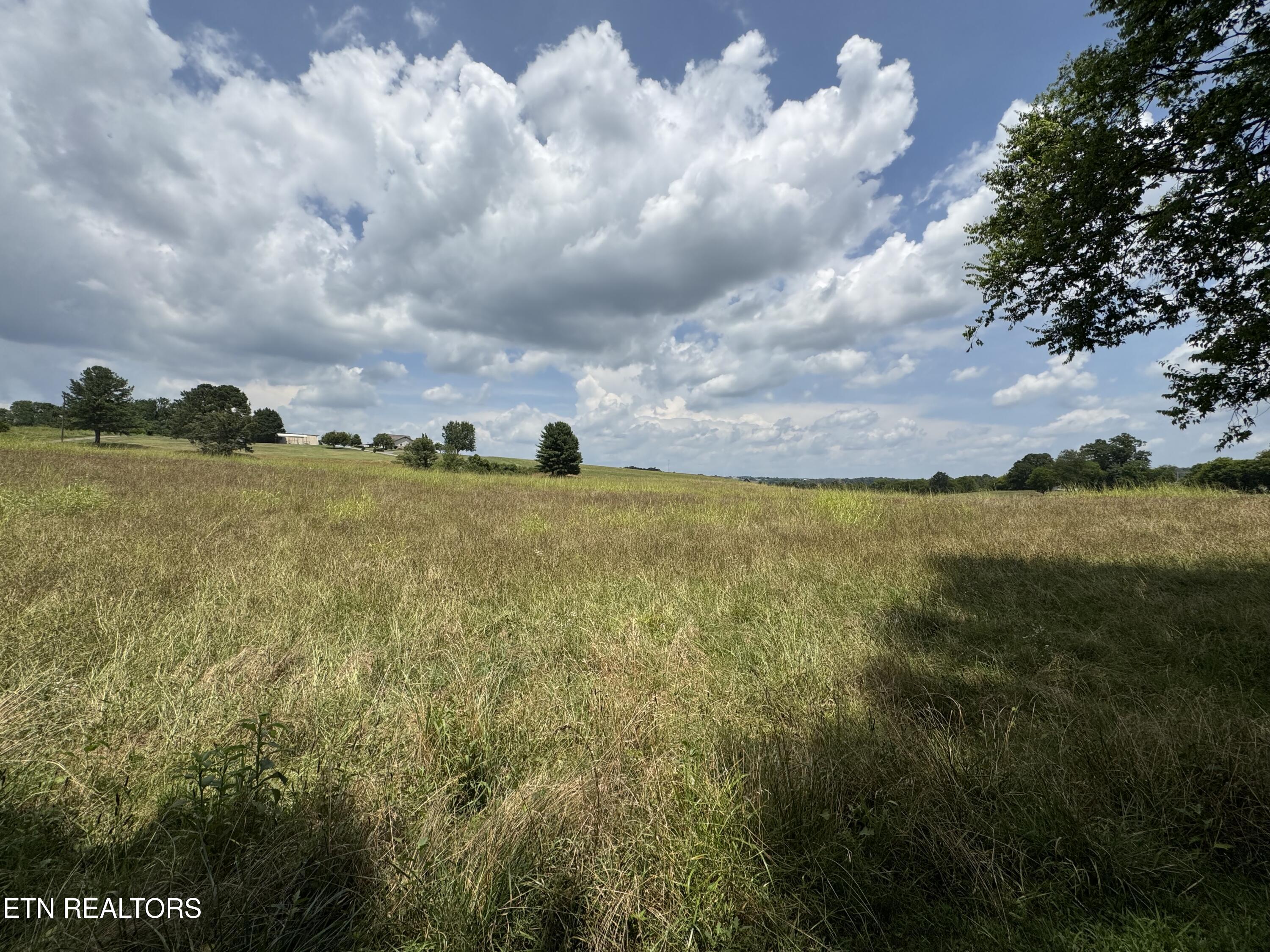 Lot 4 Bent Road Kodak, TN 37764 - Photo 16 of 19 IMG_3574