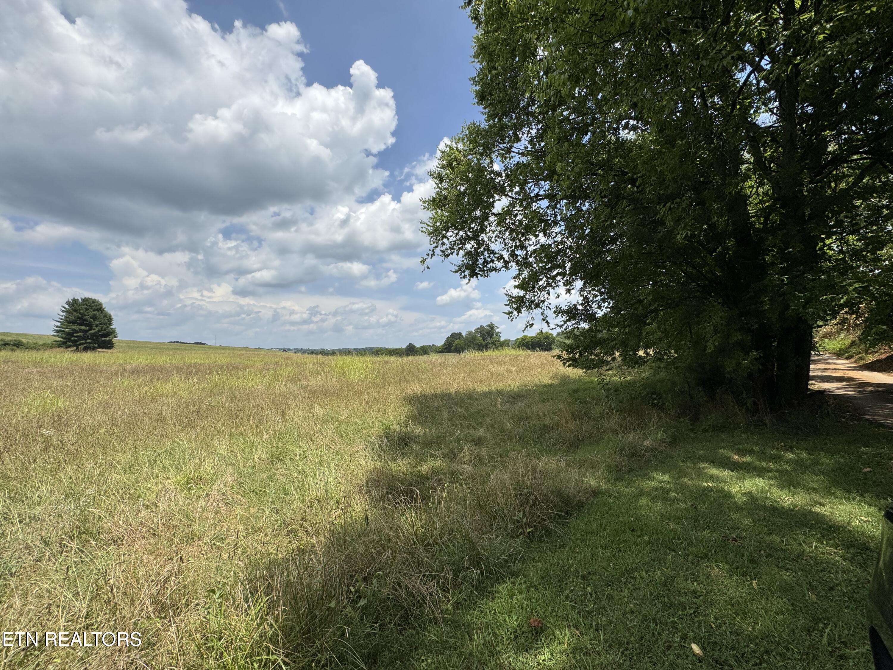 Lot 4 Bent Road Kodak, TN 37764 - Photo 17 of 19 IMG_3575