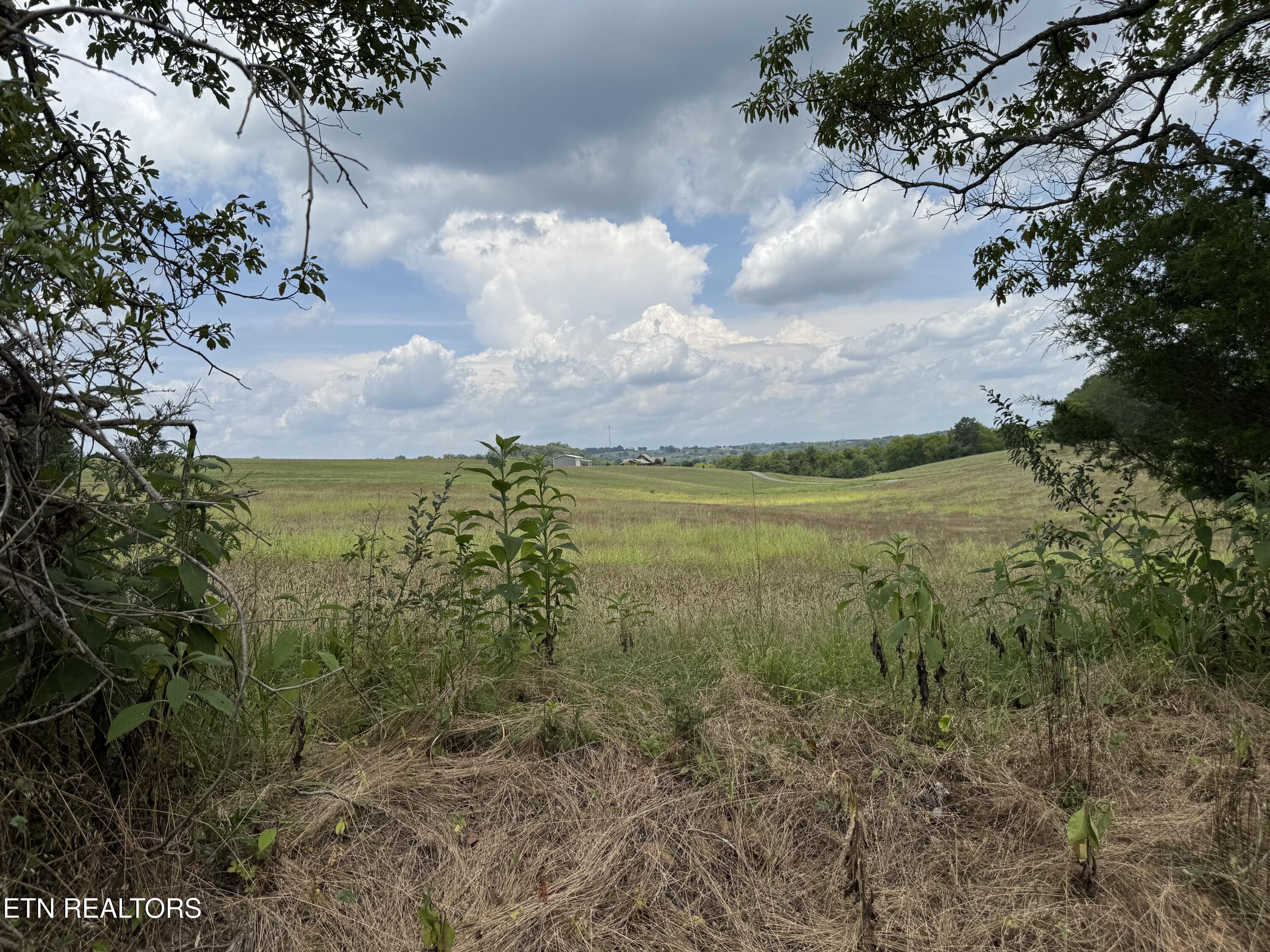 Lot 4 Bent Road Kodak, TN 37764 - Photo 18 of 19 IMG_3580