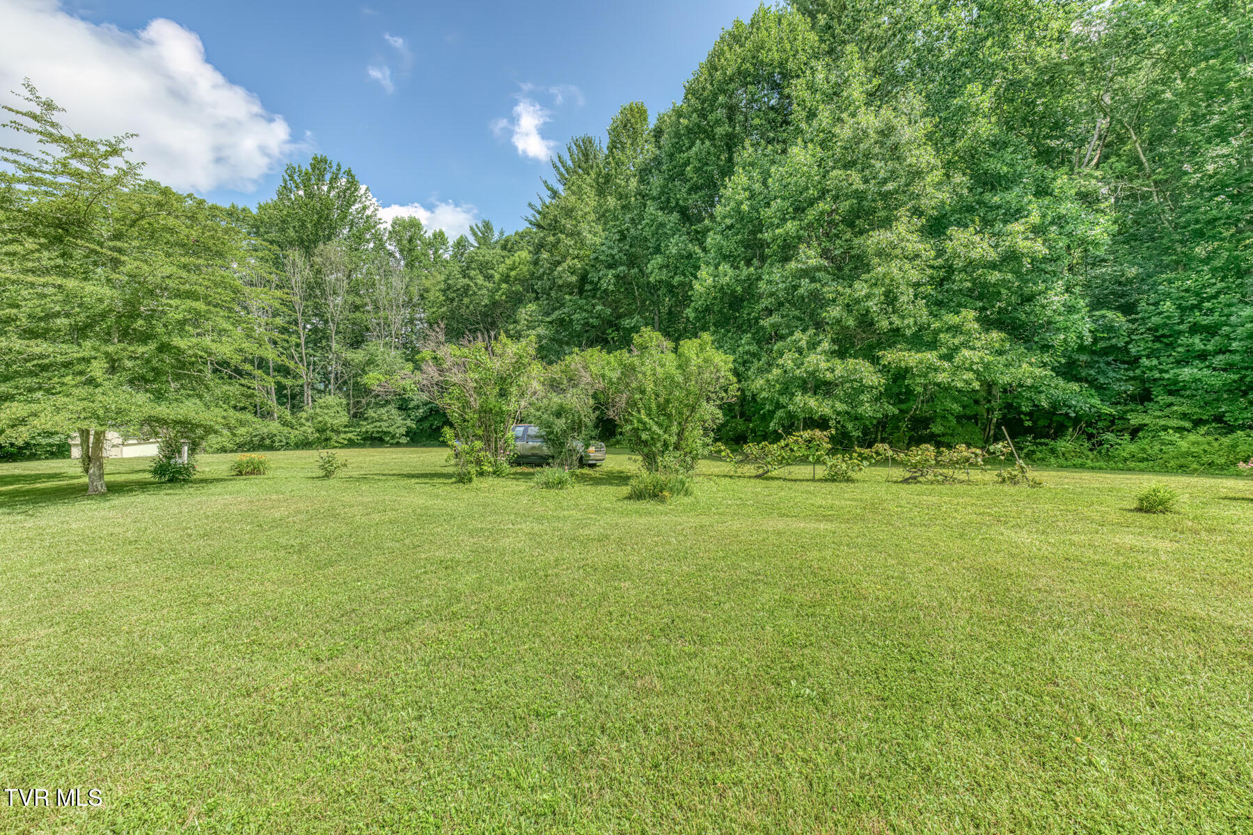1678 Sluder Road Shady Valley, TN 37688 - Photo 61 of 110 1678 Sluder Rd-61