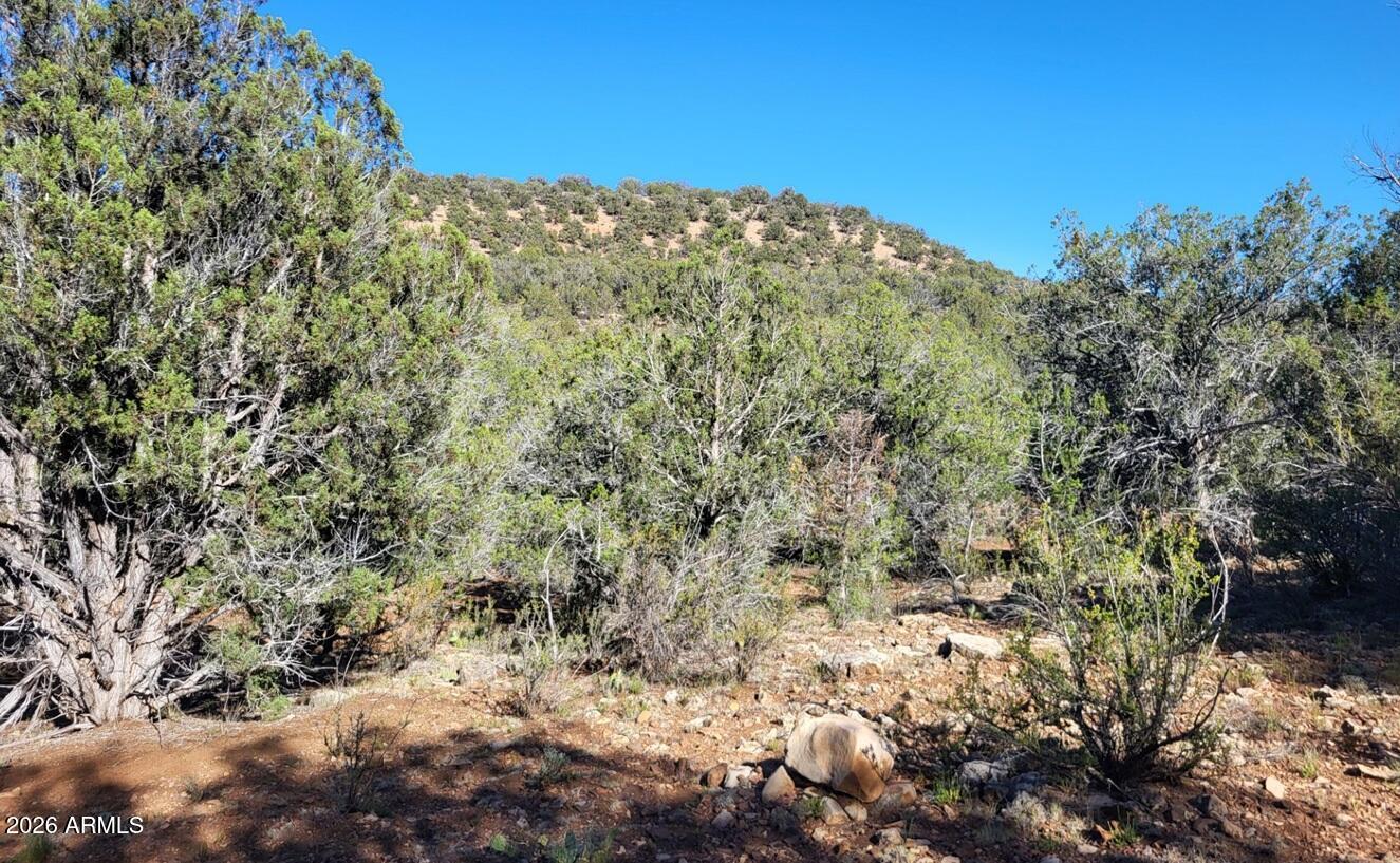 918 Wolf Road, Unit 918 Williams, AZ 86046 - Photo 13 of 18 84693bee-4538-4e5c-9552-956c52f8aa40