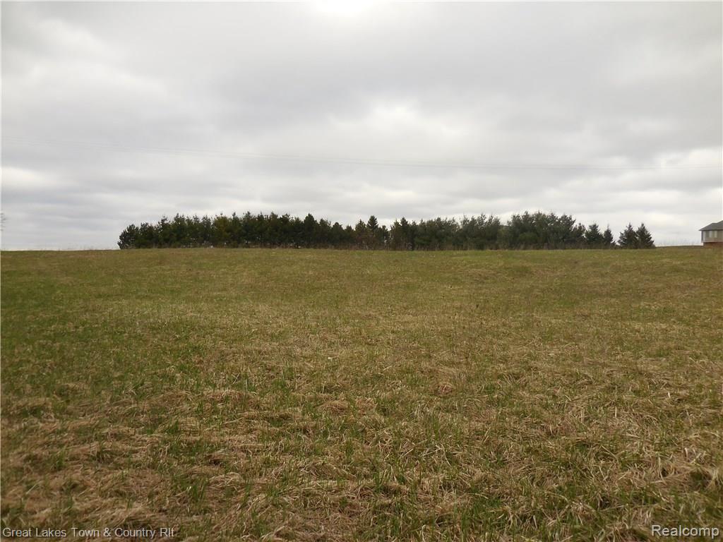 2 B Attica Road Attica, MI 48412 - Photo 1 of 16