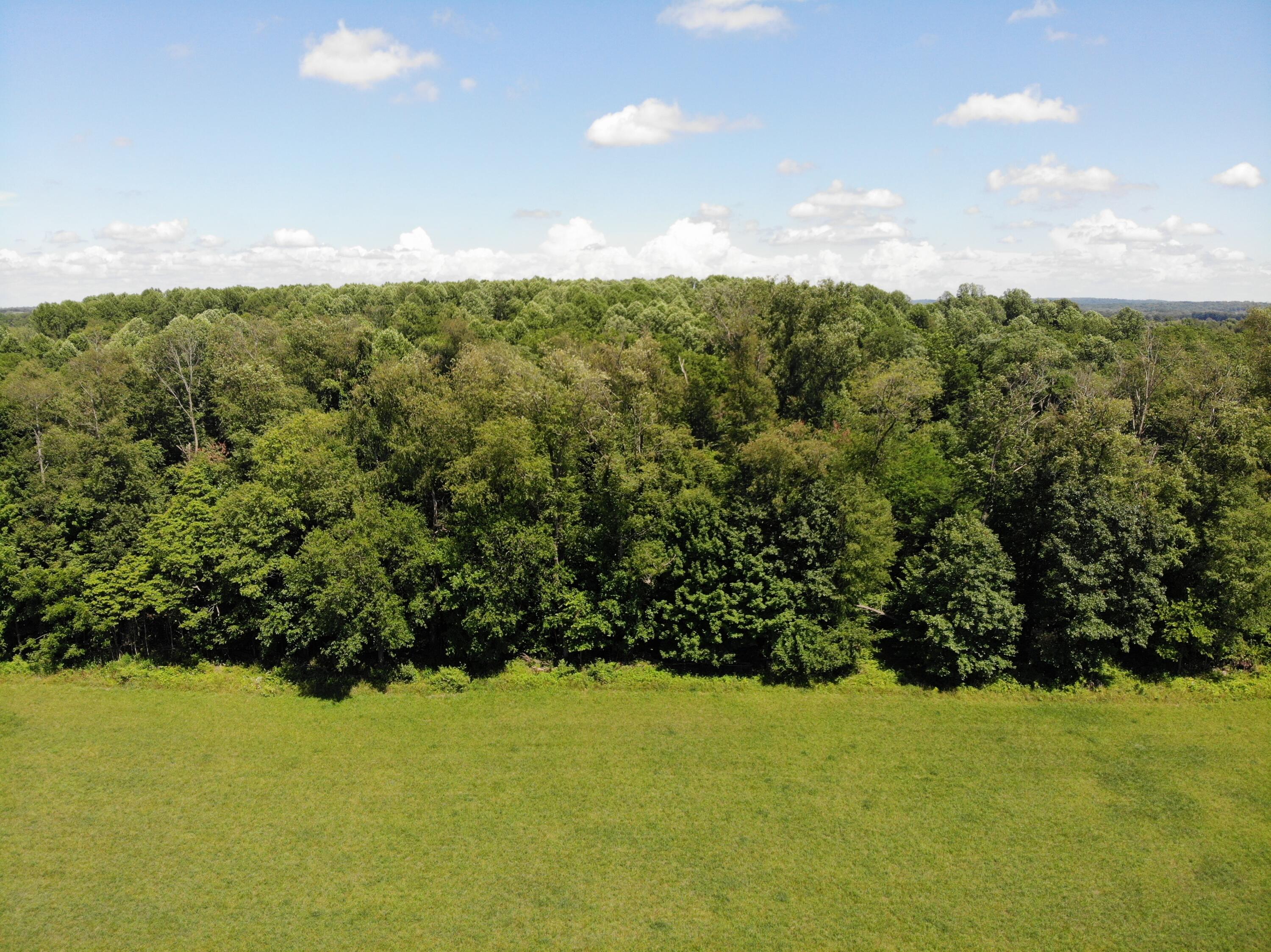 56209 Penn Road Cassopolis, MI 49031 - Photo 3 of 10 DJI_0576