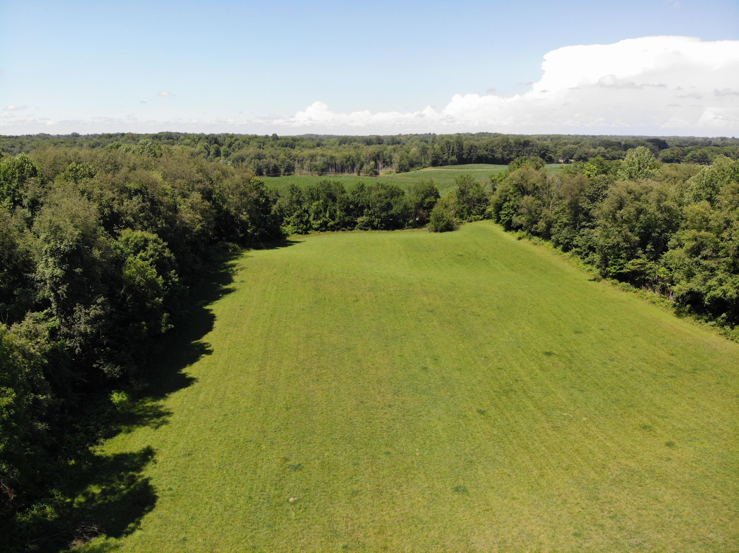 56209 Penn Road Cassopolis, MI 49031 - Photo 4 of 10 DJI_0575