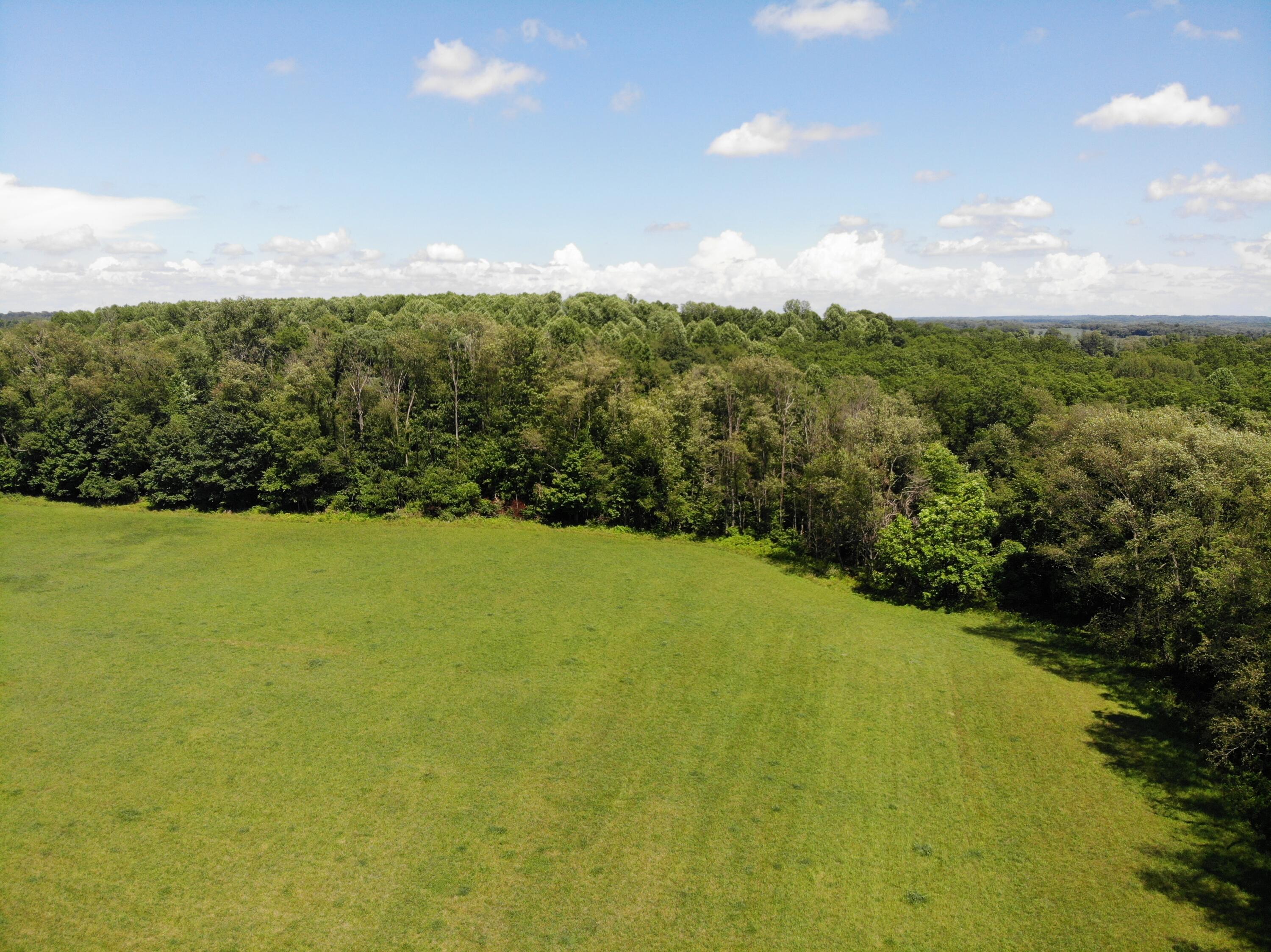 56209 Penn Road Cassopolis, MI 49031 - Photo 5 of 10 DJI_0574