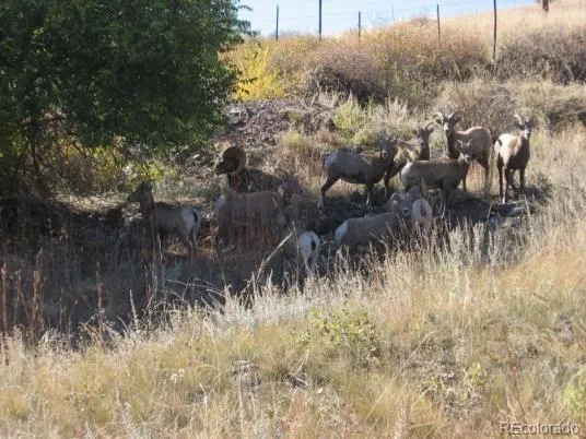 a view of a yard covered in snow