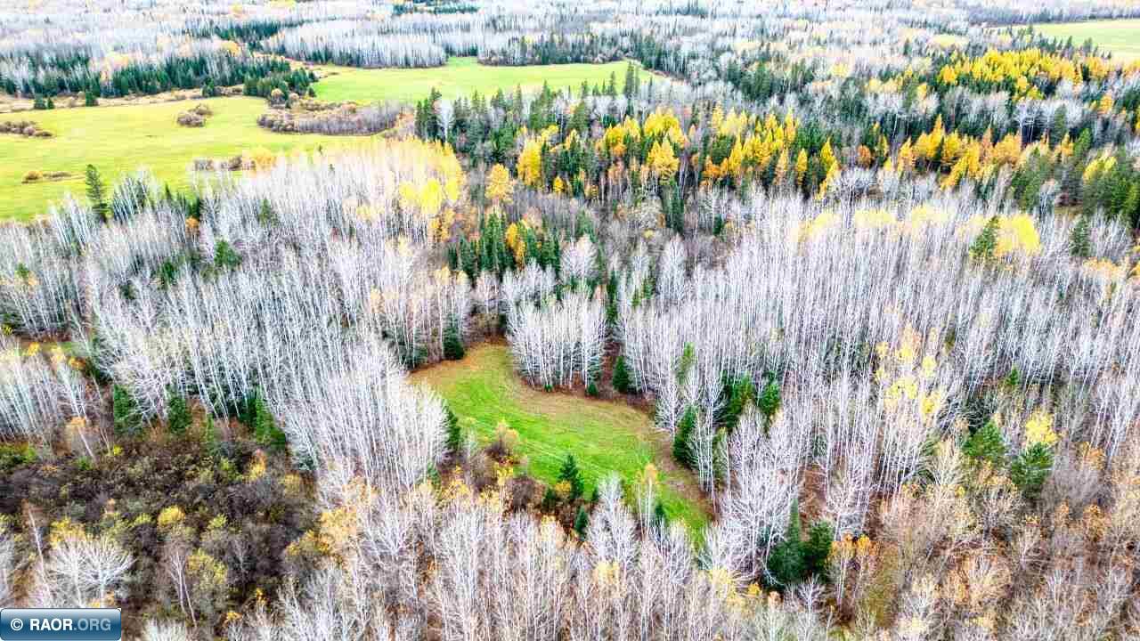 10899 Highway 22 Angora, MN 55703 - Photo 29 of 50