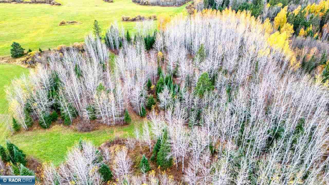 10899 Highway 22 Angora, MN 55703 - Photo 30 of 50