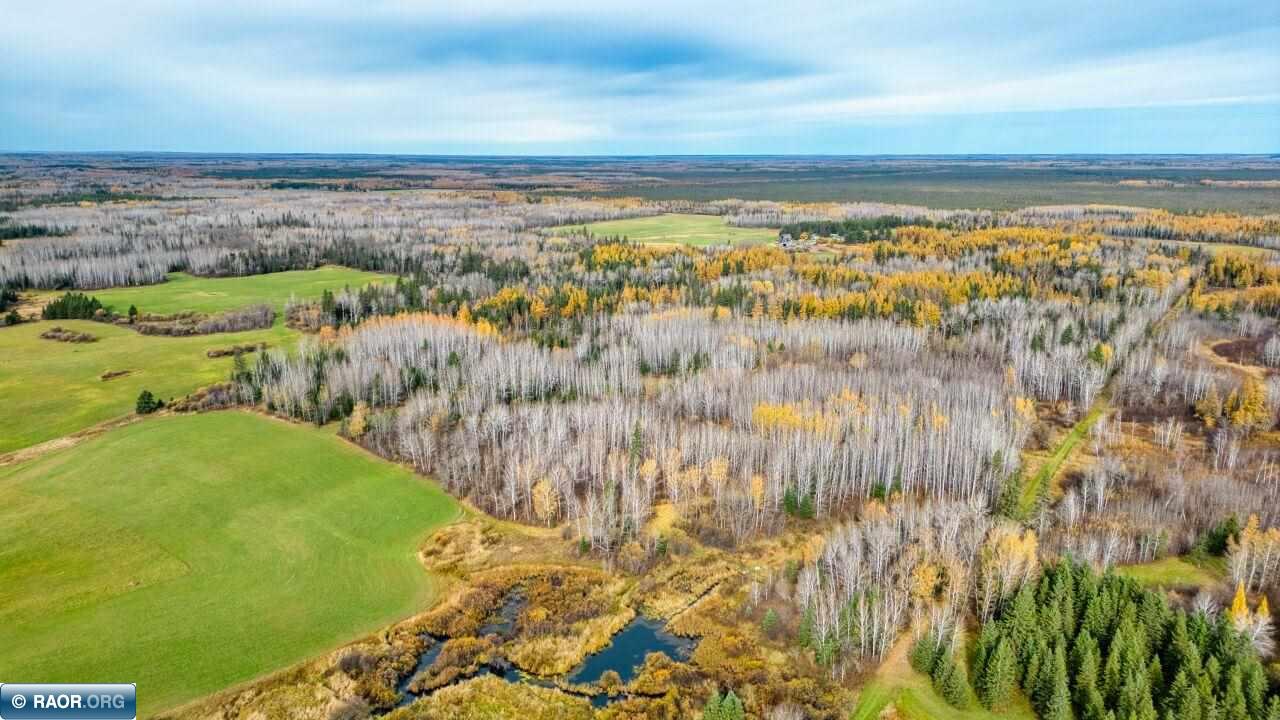 10899 Highway 22 Angora, MN 55703 - Photo 44 of 50