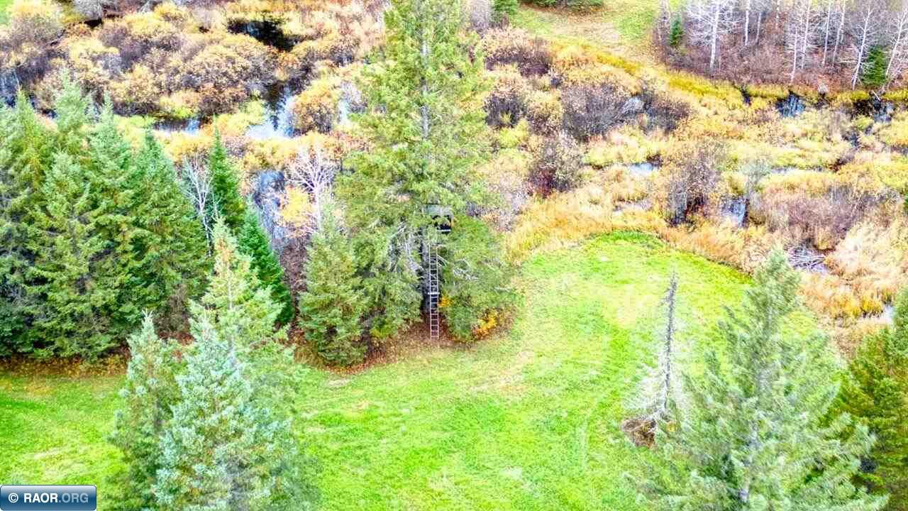 10899 Highway 22 Angora, MN 55703 - Photo 49 of 50