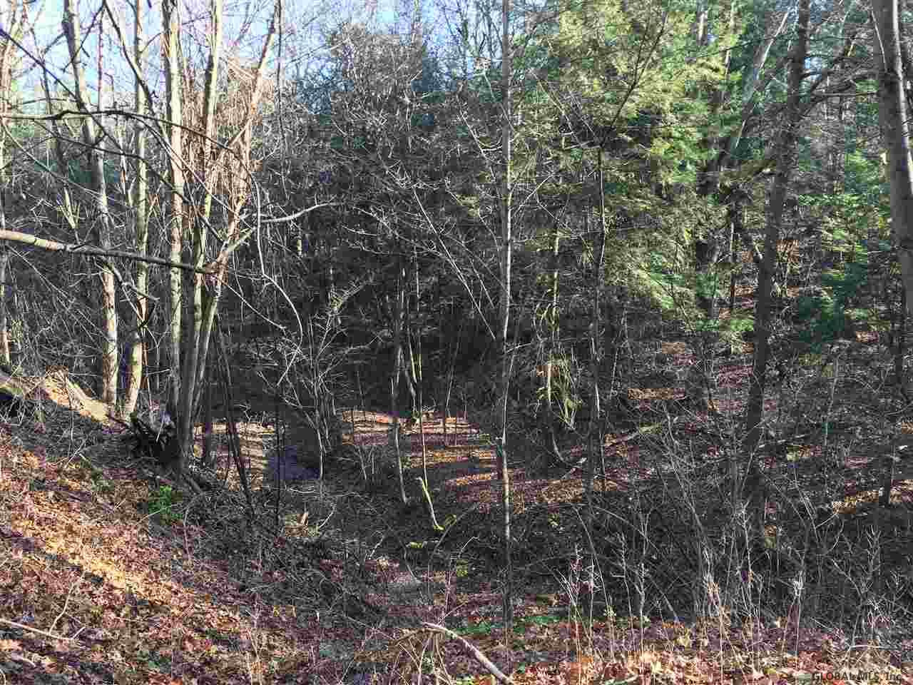 282 East Gregg Road Rotterdam, NY 12306 - Photo 8 of 25 Photo 8