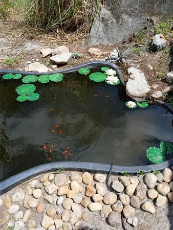 a view of a yard with large trees
