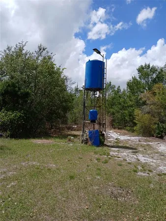 a view of a yard with plants and trees