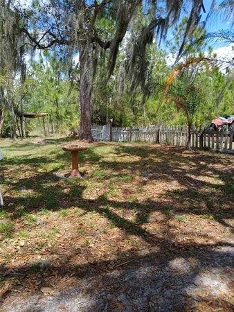 a view of a back yard