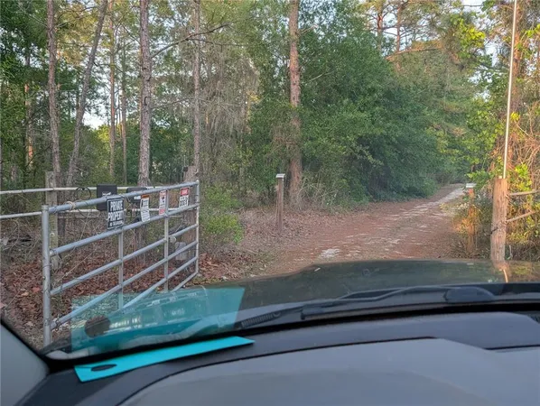 a view of a house with backyard and a tree