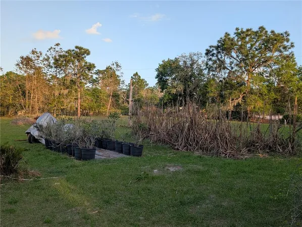 a view of backyard with wooden fence and a large tree