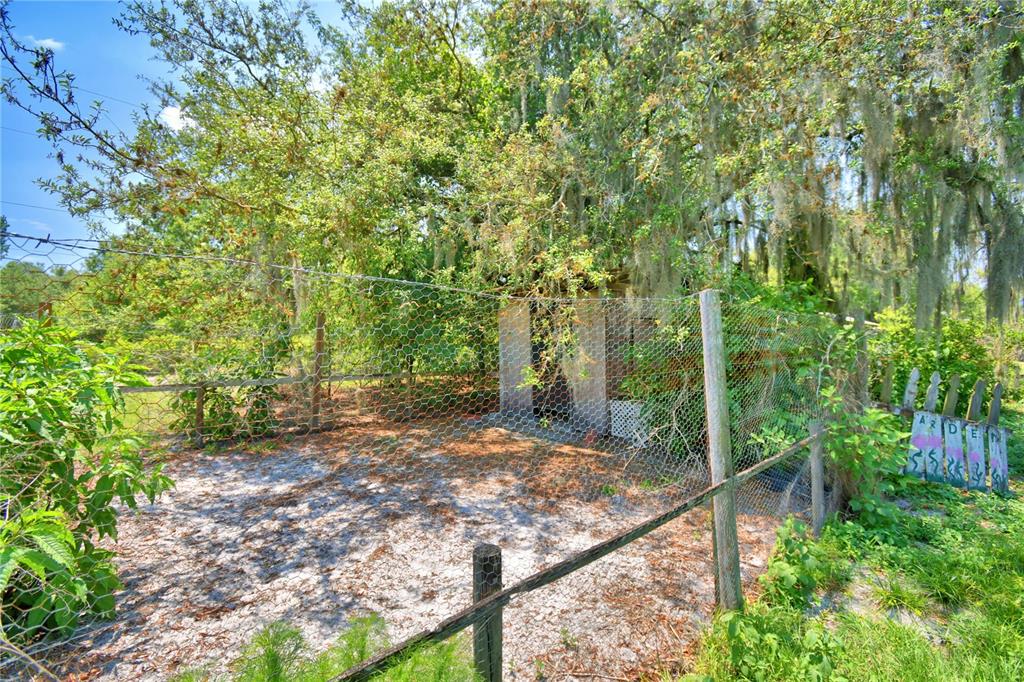 760 McClellan Road Frostproof, FL 33843 - Photo 45 of 72 a view of a backyard with plants and large trees