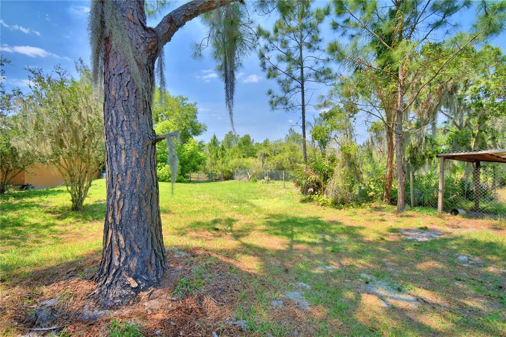 760 McClellan Road Frostproof, FL 33843 - Photo 58 of 72