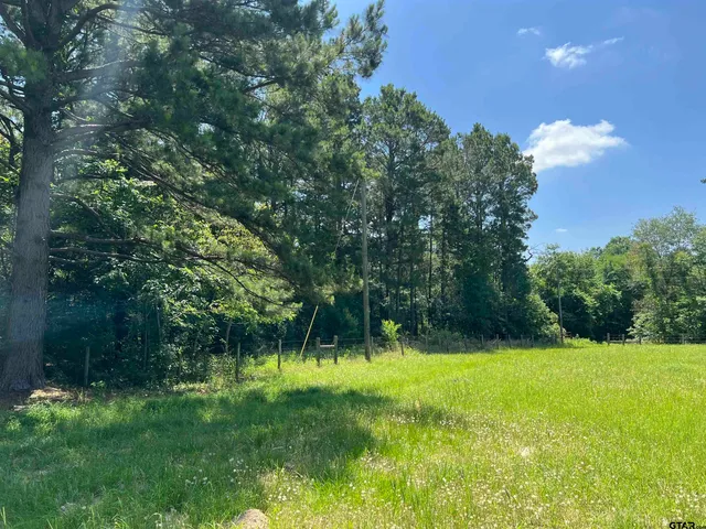 a view of outdoor space with a garden and trees