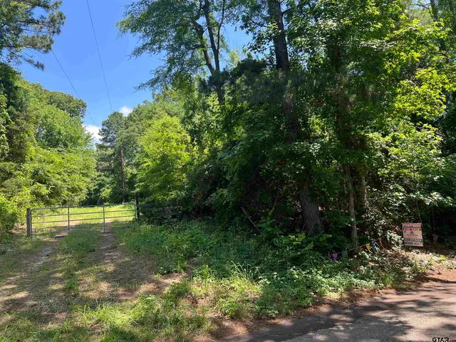 a view of yard with green space