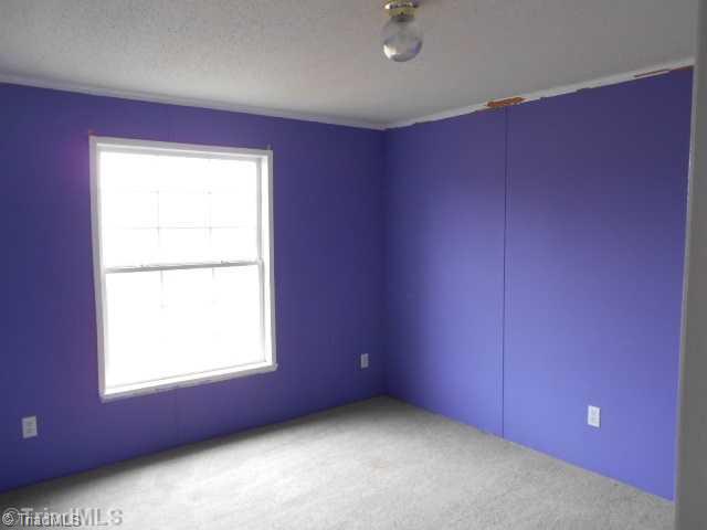 1225 Collins Farm Road Mount Airy, NC 27030 - Photo 7 of 14 Other.
