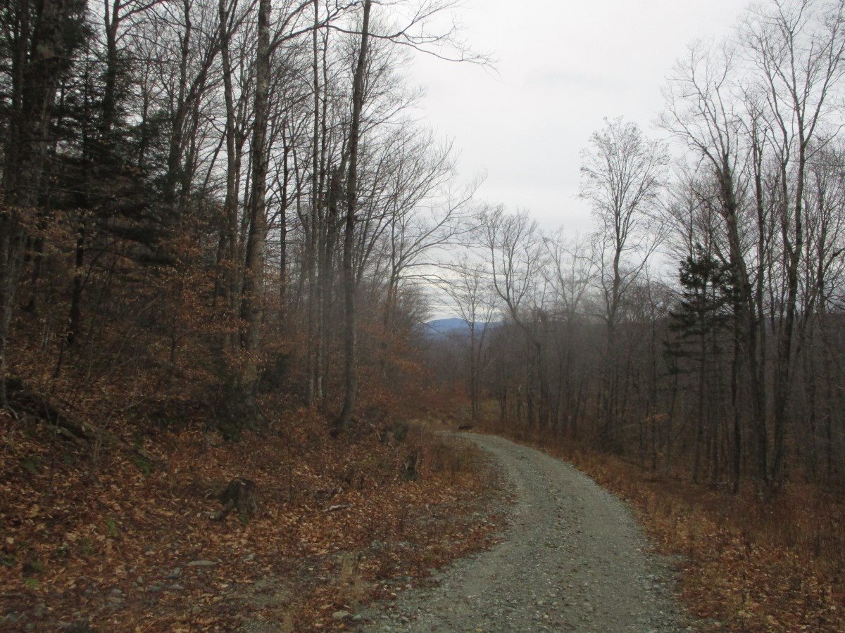 0 Old Mines Road Eden, VT 05652 - Photo 7 of 7