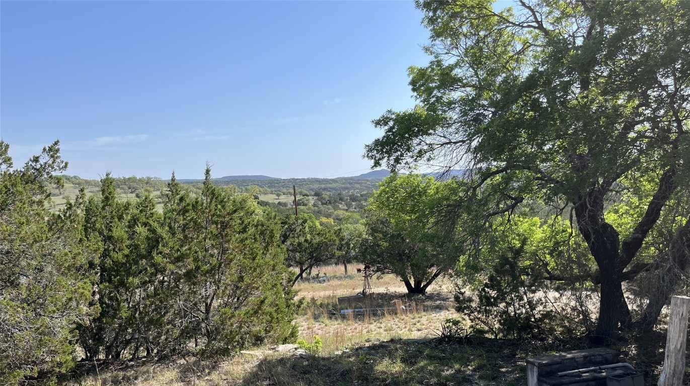 a view of a lake with a tree in the background