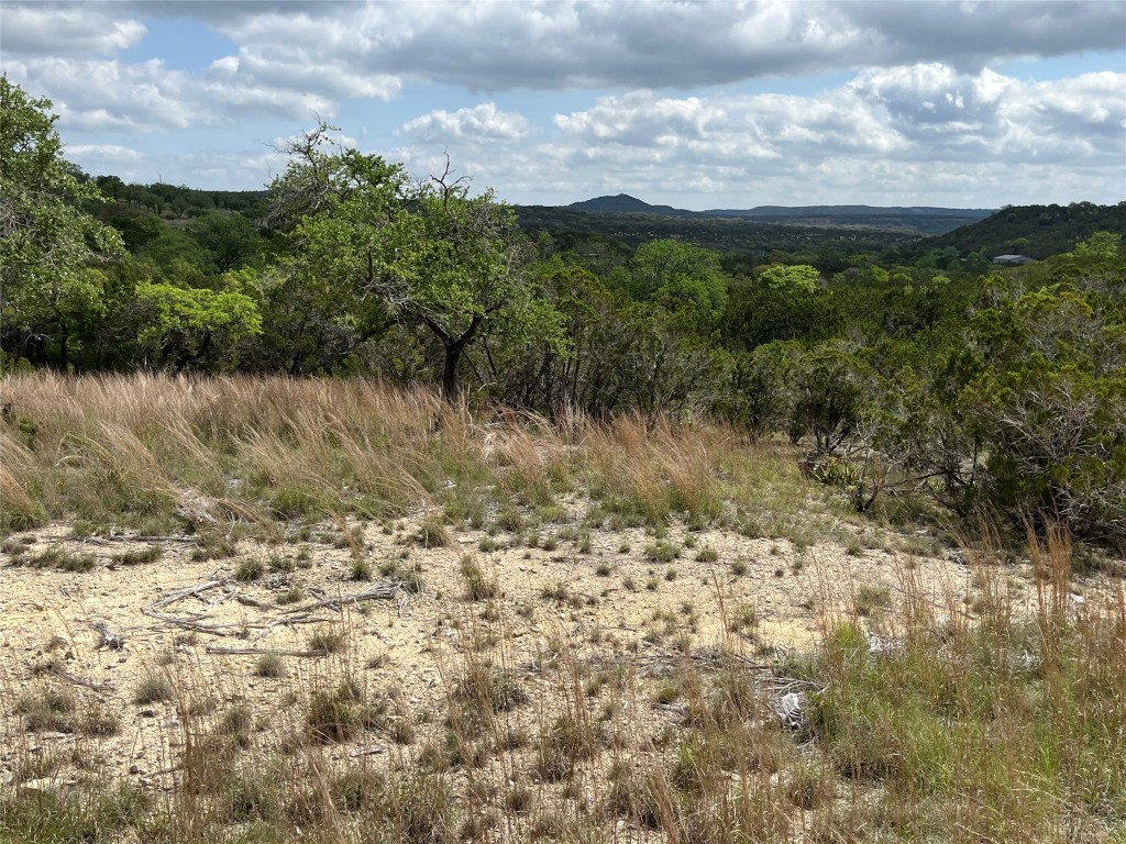 27127 Ranch To Market 1431 Marble Falls, TX 78654 - Photo 16 of 25 a view of a lake with mountains in the background