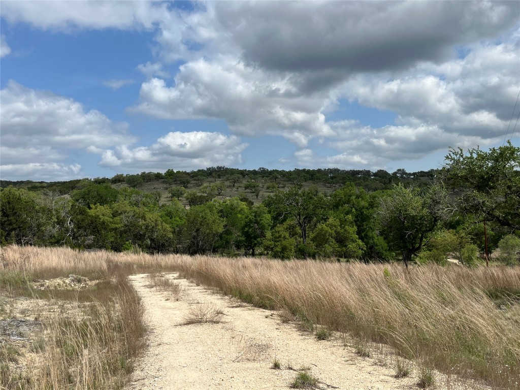 27127 Ranch To Market 1431 Marble Falls, TX 78654 - Photo 17 of 25 a view of a yard