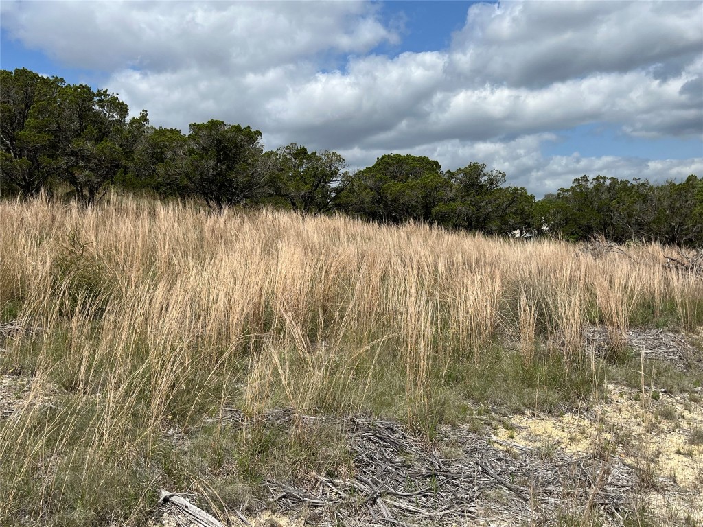 27127 Ranch To Market 1431 Marble Falls, TX 78654 - Photo 18 of 25 a view of a lake with a big yard