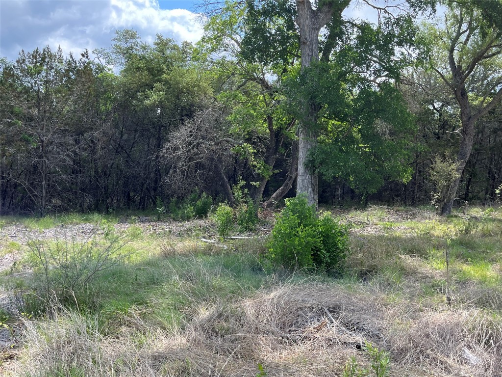 27127 Ranch To Market 1431 Marble Falls, TX 78654 - Photo 19 of 25 a view of a yard with plants and large trees