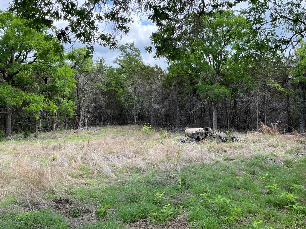 27127 Ranch To Market 1431 Marble Falls, TX 78654 - Photo 21 of 25 a view of backyard with green space