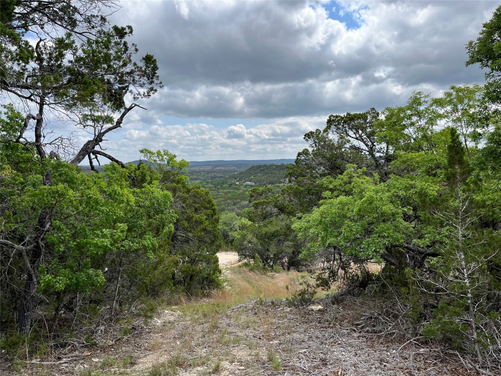 27127 Ranch To Market 1431 Marble Falls, TX 78654 - Photo 7 of 25 a view of a yard