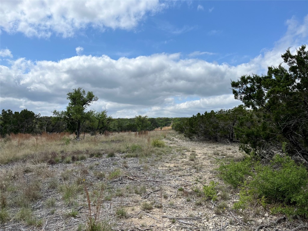 27127 Ranch To Market 1431 Marble Falls, TX 78654 - Photo 8 of 25 a view of a dry yard with trees