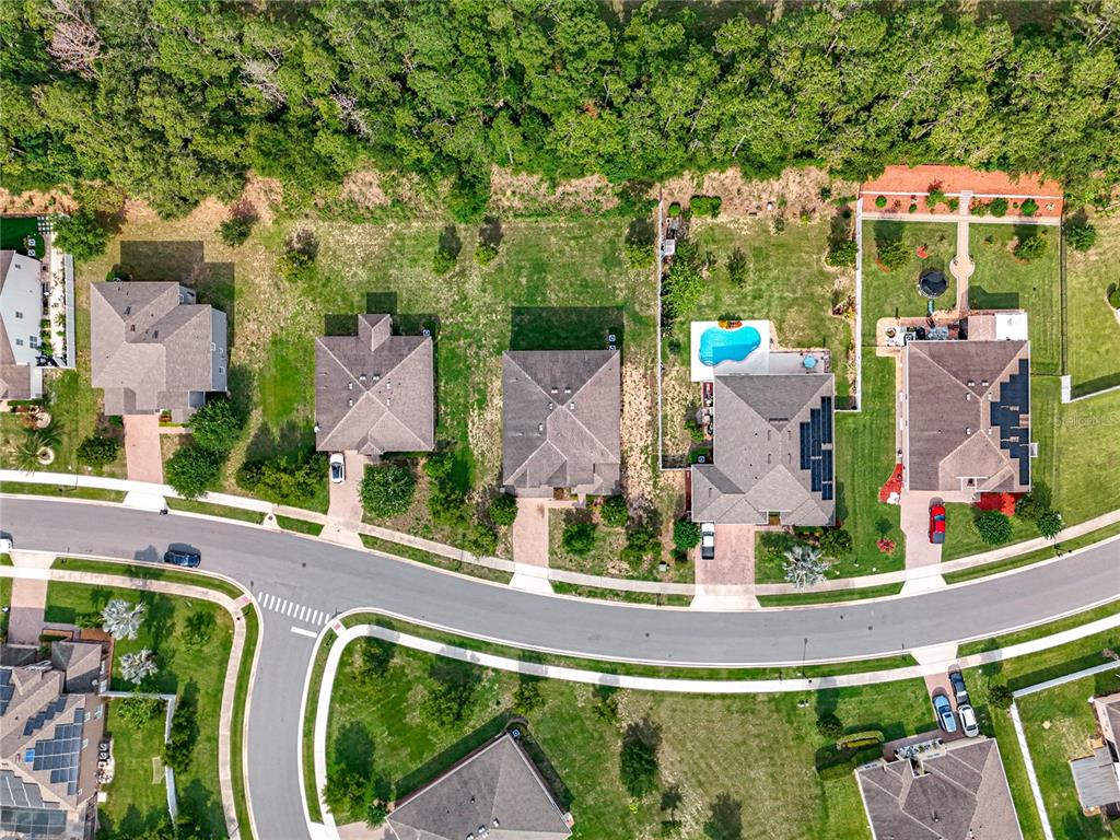 771 Cavan Drive Apopka, FL 32703 - Photo 48 of 49