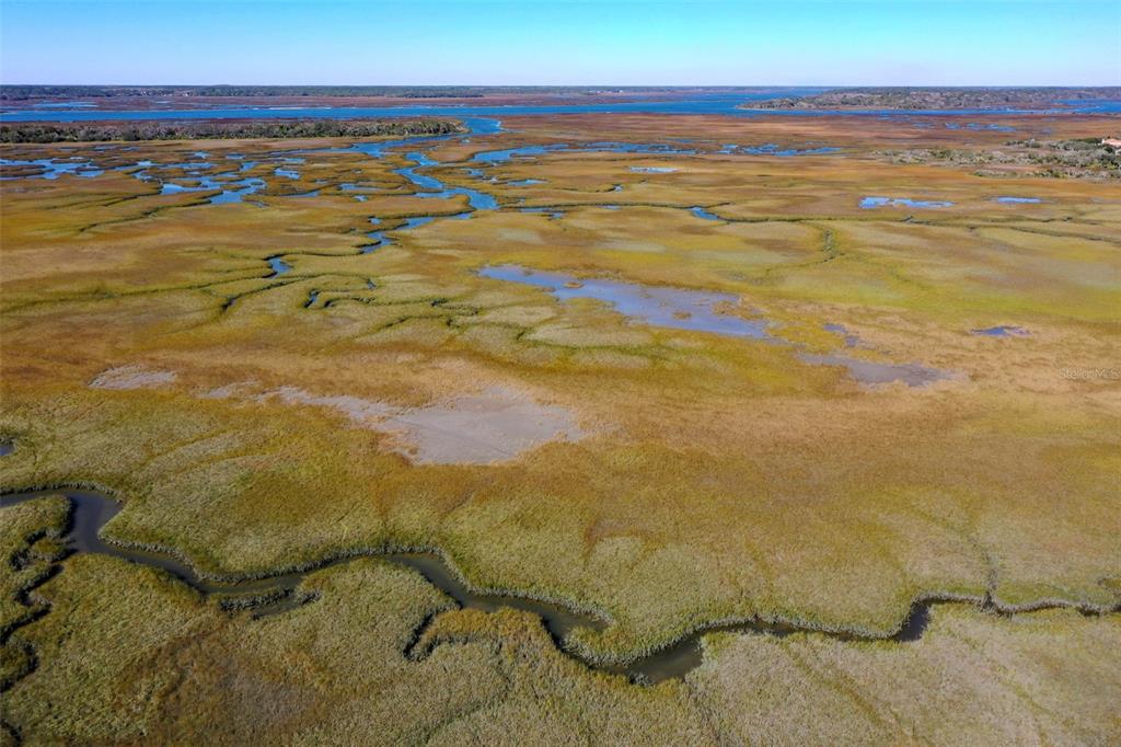 252 Gull Circle Ponte Vedra, FL 32082 - Photo 81 of 81