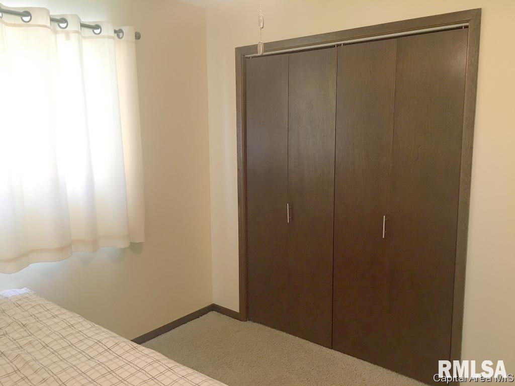 1725 East Watch Avenue Springfield, IL 62702 - Photo 18 of 22