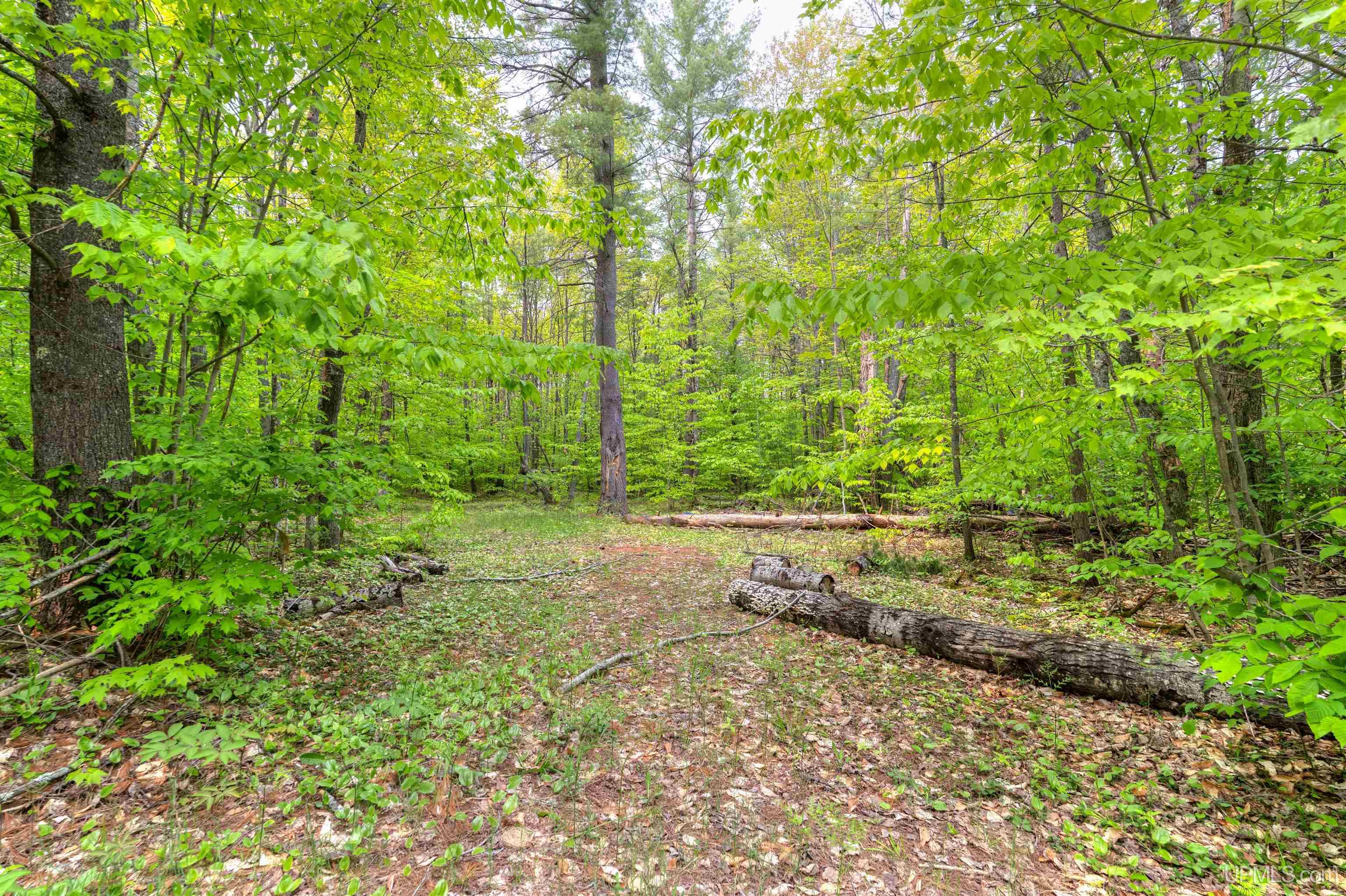 11042 West Lilly Lake Road Manistique, MI 49854 - Photo 11 of 12
